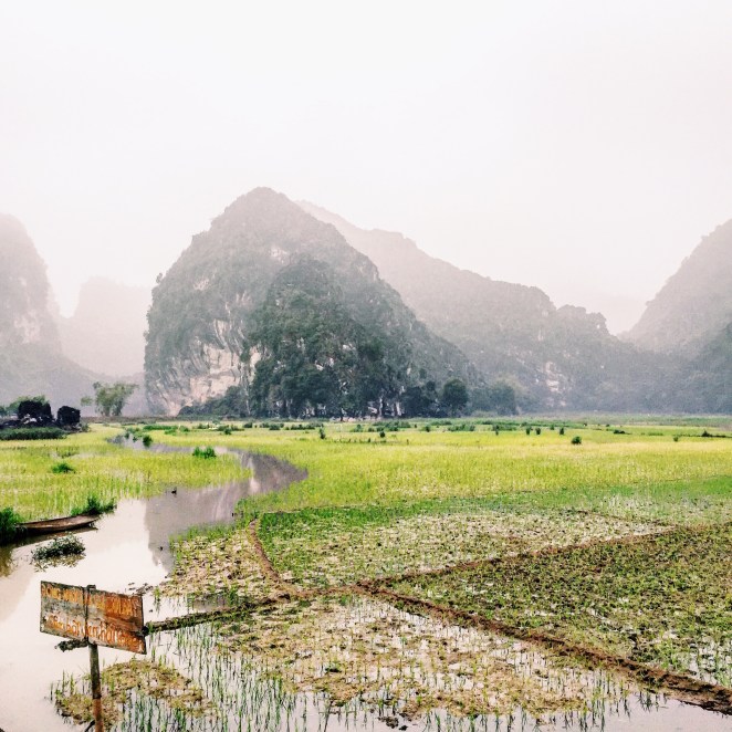 Processed with VSCOcam with c1 preset