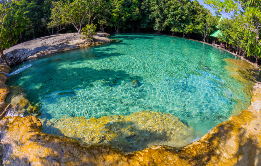 screen-shot-2016-11-22-at-8-28-31-am