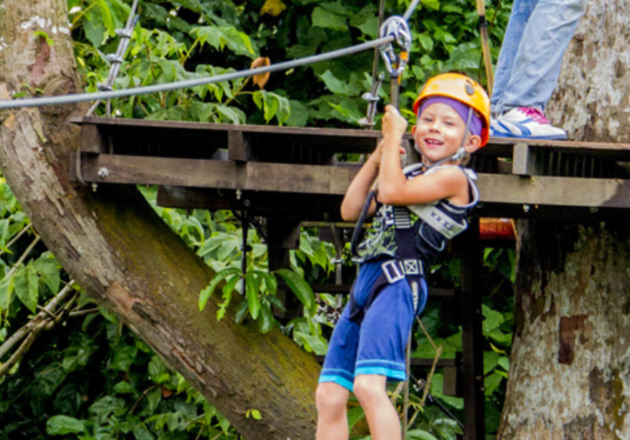 screen-shot-2016-11-22-at-8-41-46-am