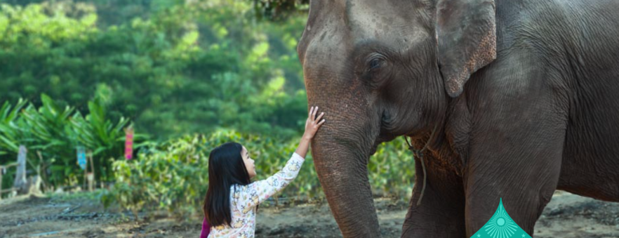 screen-shot-2016-11-22-at-8-49-30-am